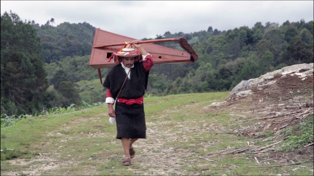 Hombre con túnica negra y arpa en la mano