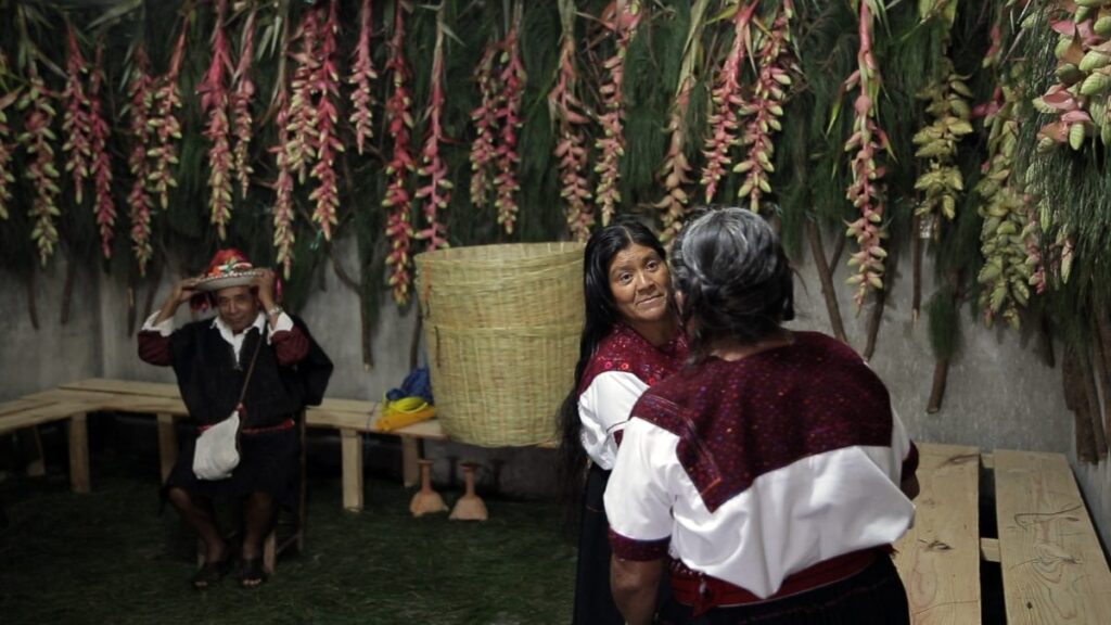 Mujeres de frente cara a cara hombre sentado con túnica negra y sombrero en terraza con plantas