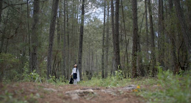 Niña vestida de blanco en el bosque