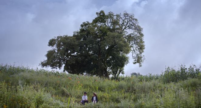 niños sentados en el paso árbol detrás