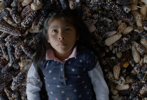 Niña acostada sobre maíz Valentina o la serenidad