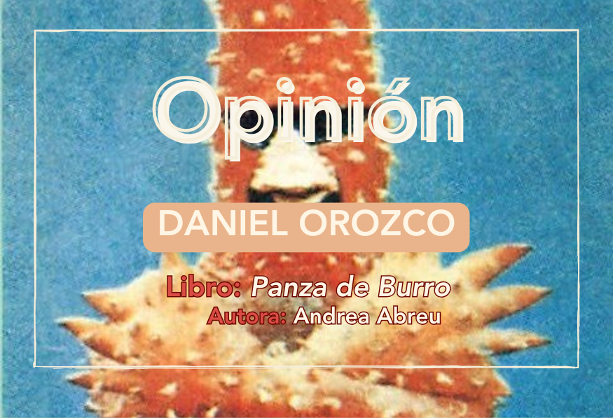 Panza de burro Andrea Abreu portada articulo opinión