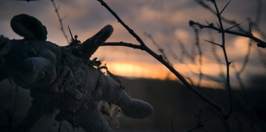 Anatomía del mal 1 Peluche viejo atravesado en una rama atardecer