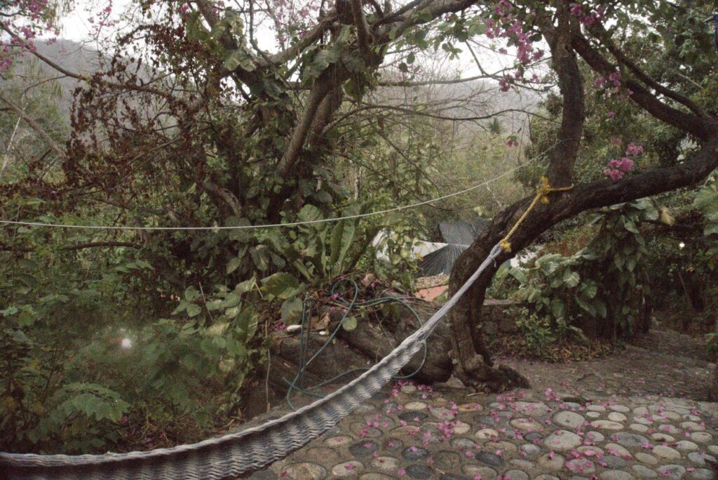 Selva en Yelapa