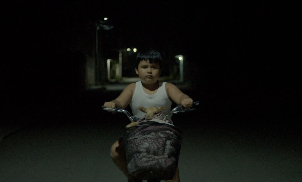 Niño en bicicleta con animal en canasta
