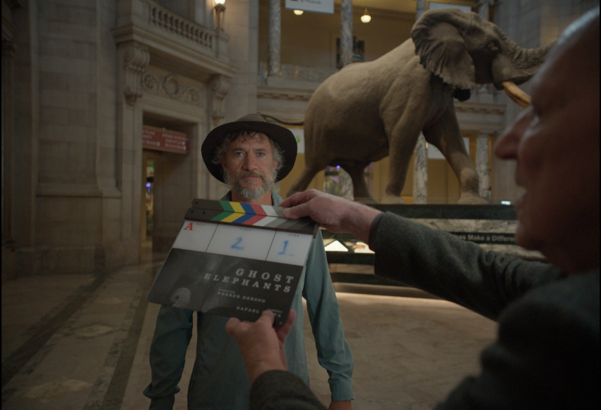 Hombre con barba y sombrero elefante estatua al fondo y claqueta enfrente