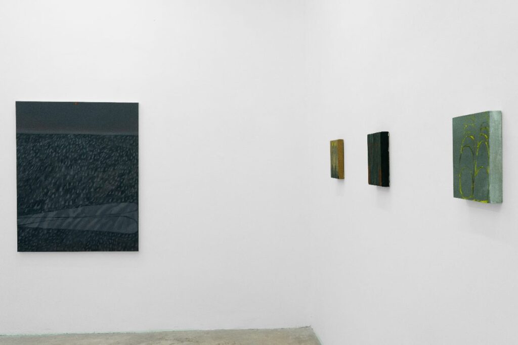 Cuadros de pinturas en una pared